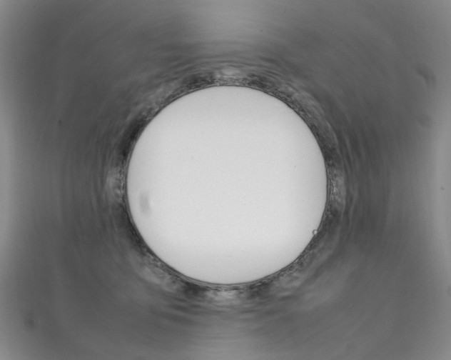 X0000111210419200907011055