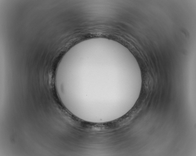 X0000111210420200907011055