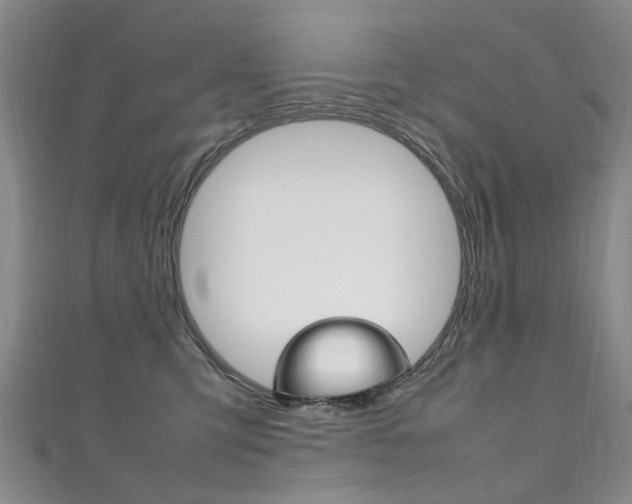 X0000111210423200907011055