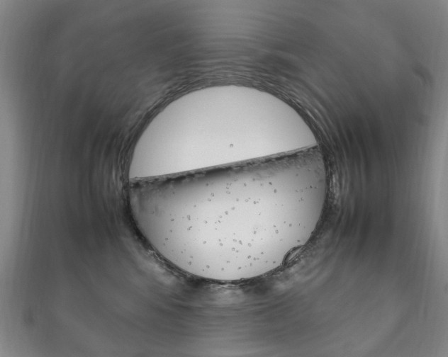 X0000111210424200907011055