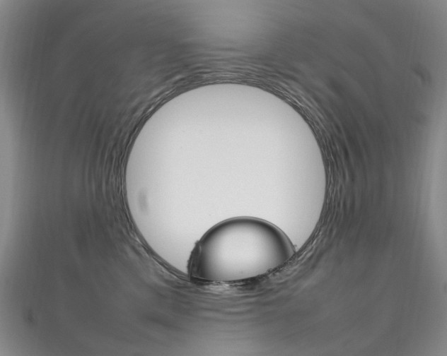 X0000111210425200907011055