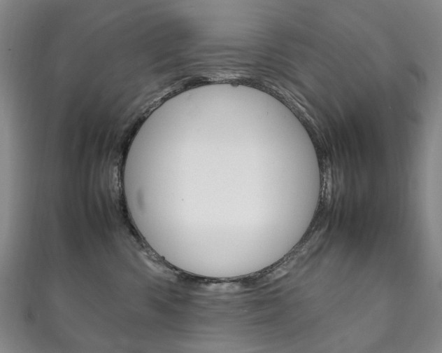 X0000111210426200907011055