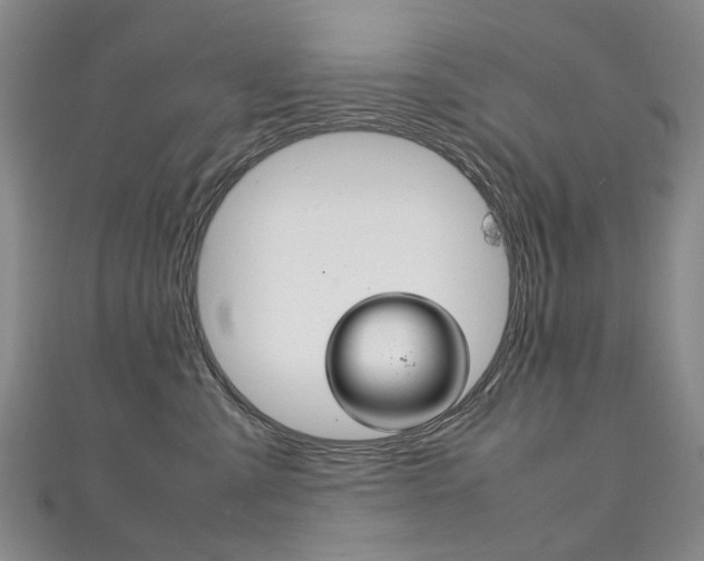 X0000111210427200907011055