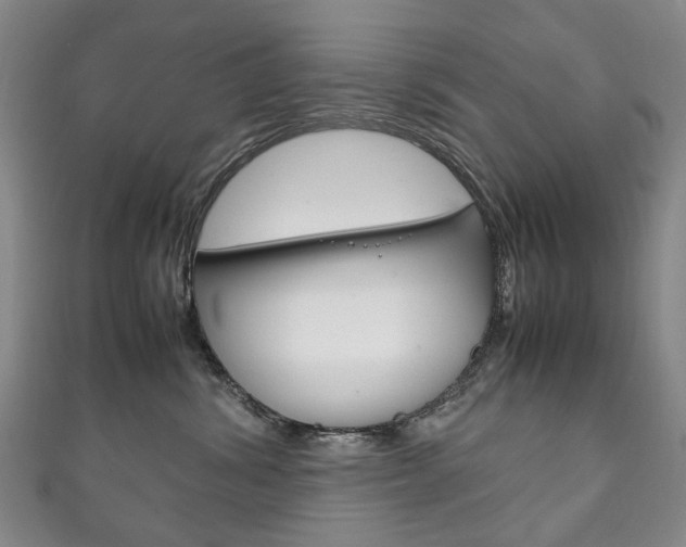 X0000111210428200907011055
