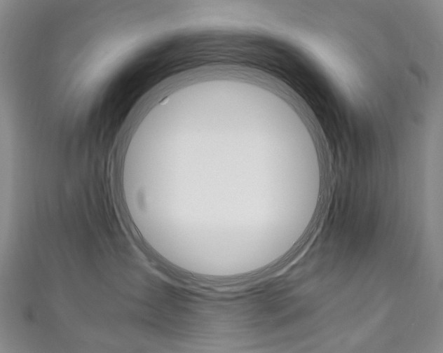X0000111210431200907011055