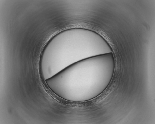 X0000111210434200907011054