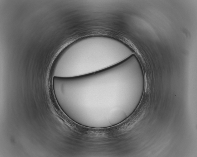 X0000111210435200907011054