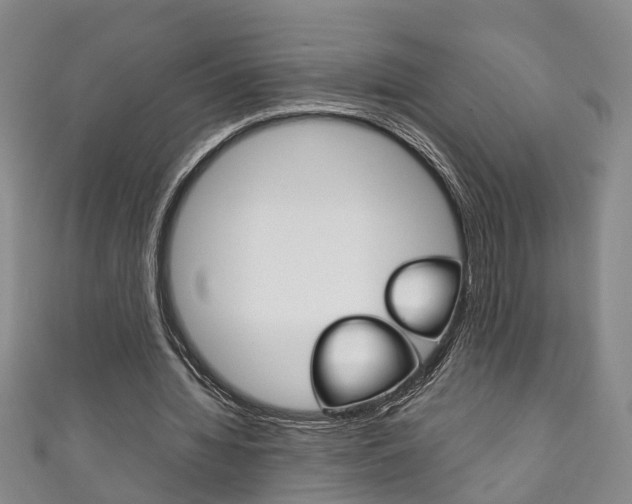 X0000111210436200907011054