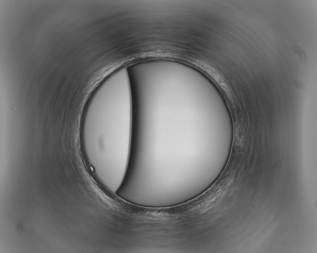 X0000111210437200907011054