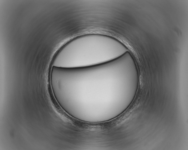 X0000111210438200907011054
