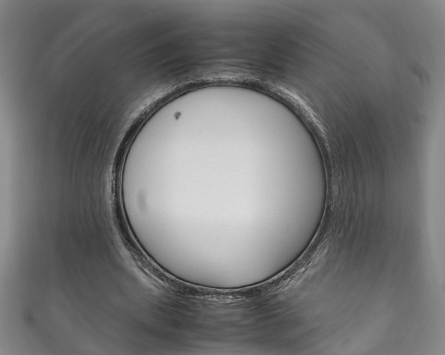 X0000111210439200907011054
