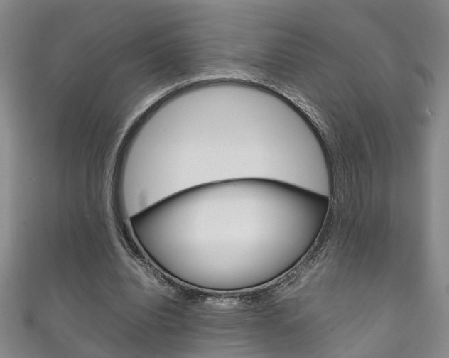 X0000111210440200907011054