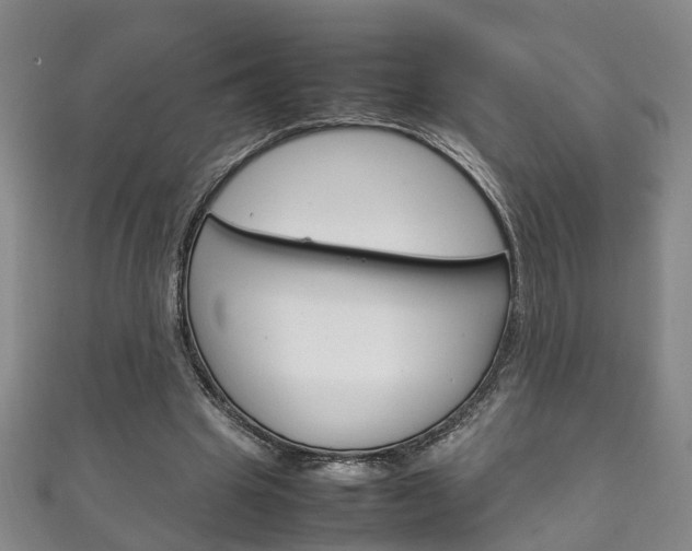 X0000111210441200907011054