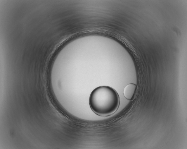 X0000111210444200907011054