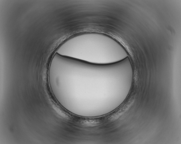 X0000111210445200907011054