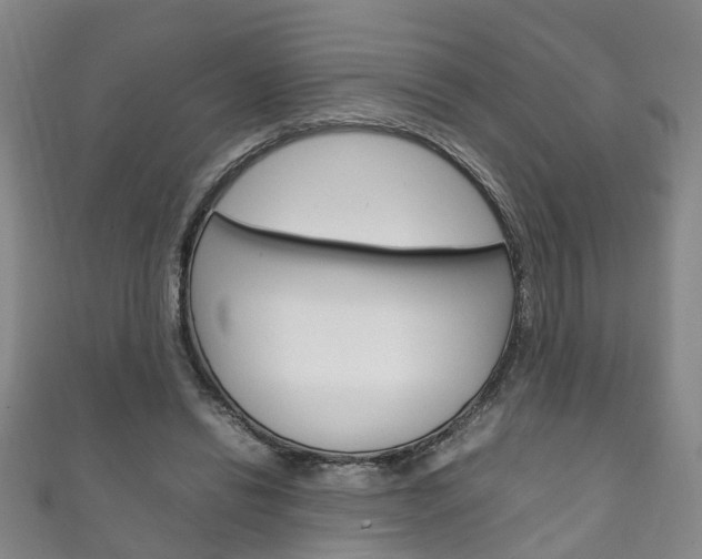 X0000111210446200907011054