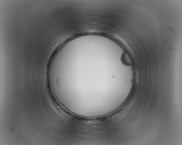 X0000111210447200907011054