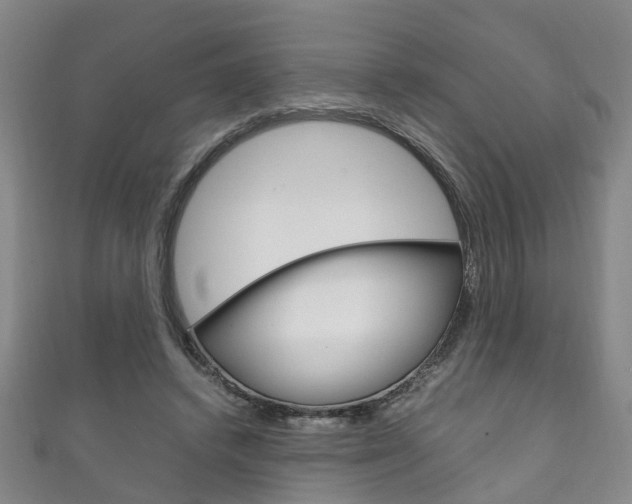 X0000111210448200907011054
