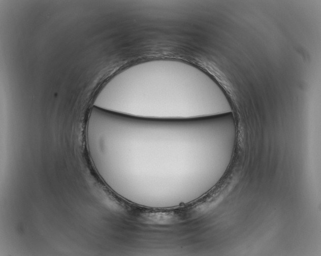 X0000111210449200907011054