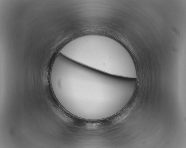 X0000111210450200907011054
