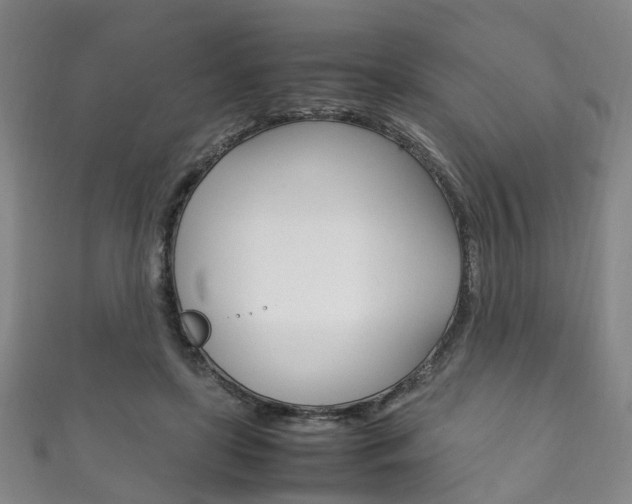 X0000111210451200907011054