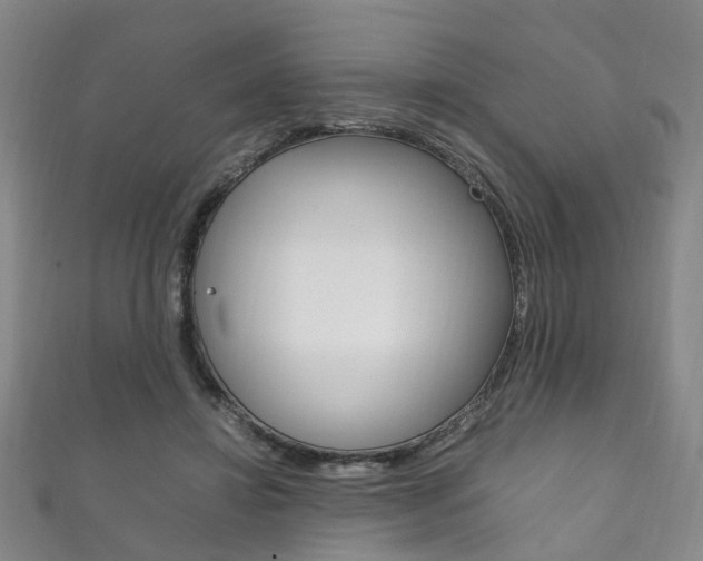 X0000111210452200907011054