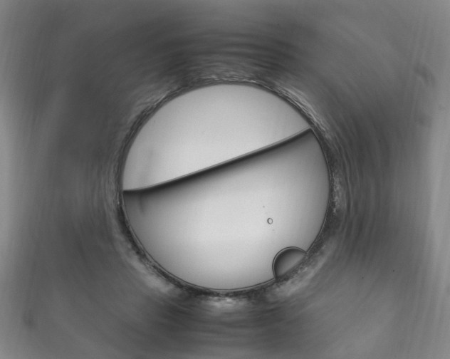 X0000111210453200907011055