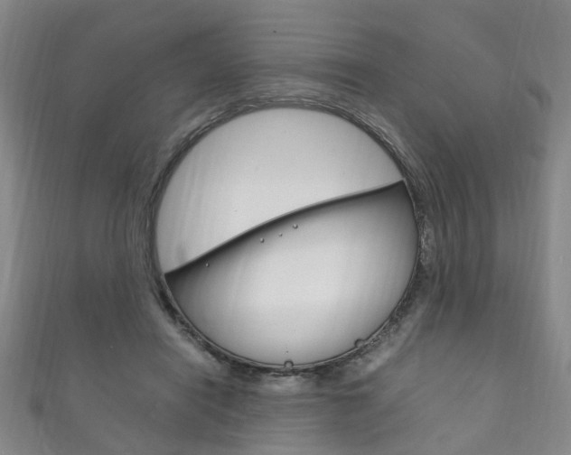 X0000111210454200907011055