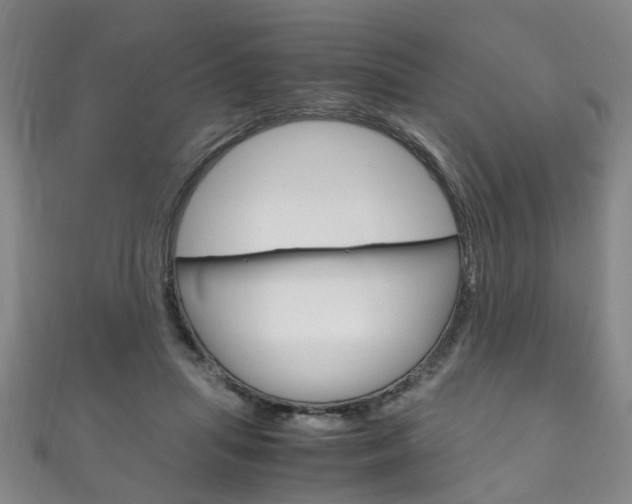 X0000111210455200907011055
