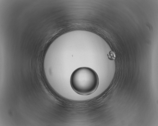 X0000111210456200907011055