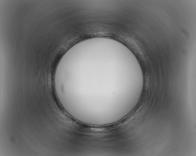 X0000111210457200907011055