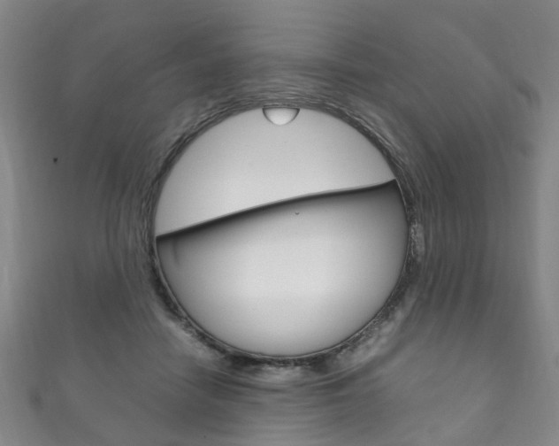 X0000111210458200907011055