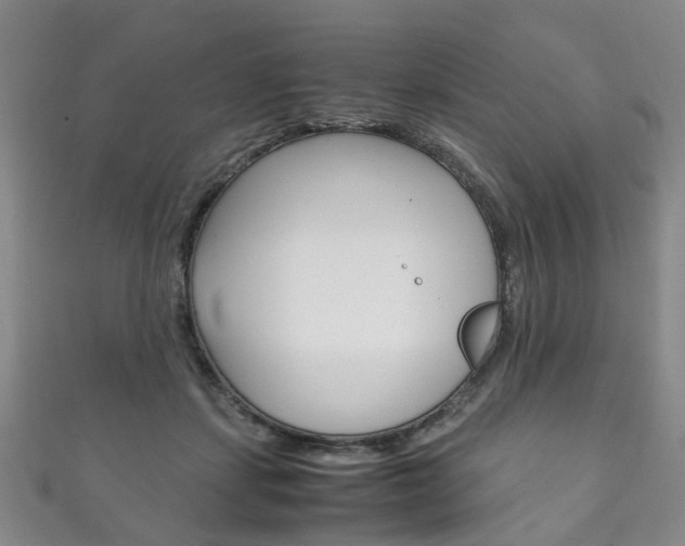X0000111210459200907011055