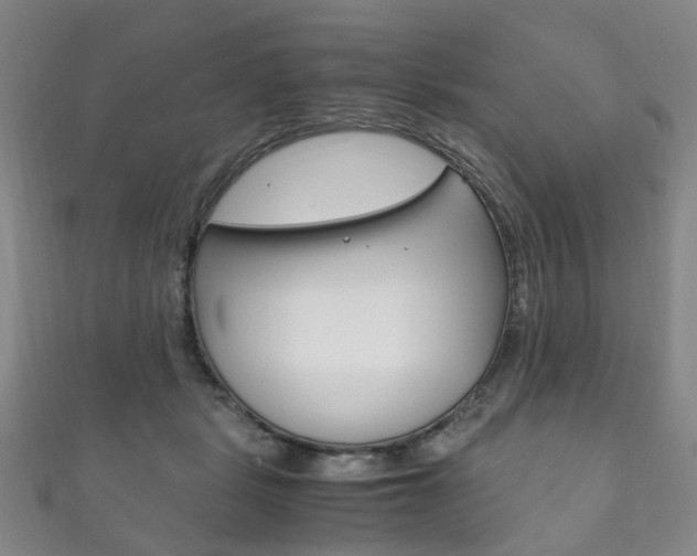 X0000111210461200907011055