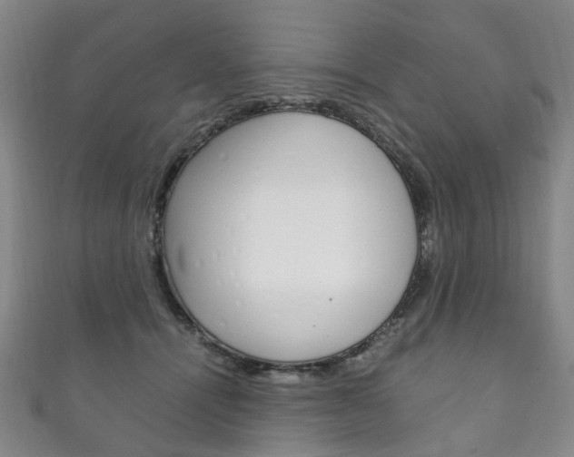 X0000111210464200907011055