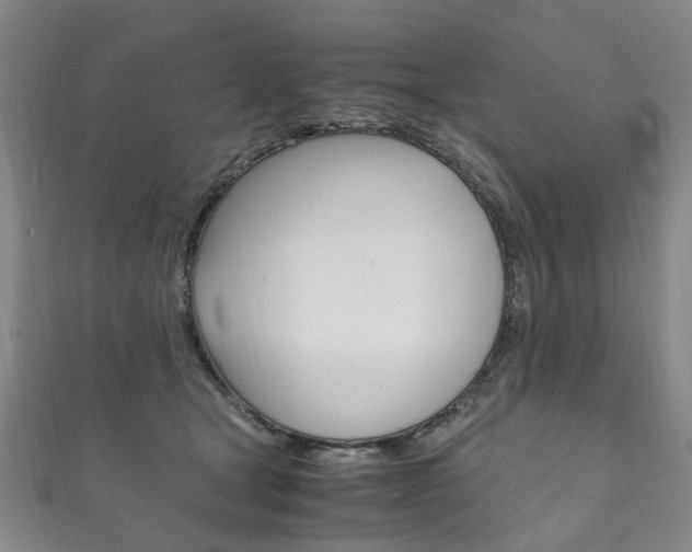X0000111210465200907011055