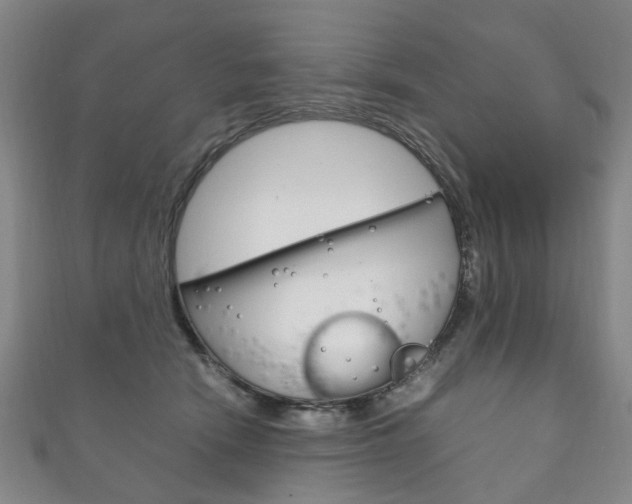 X0000111210466200907011055