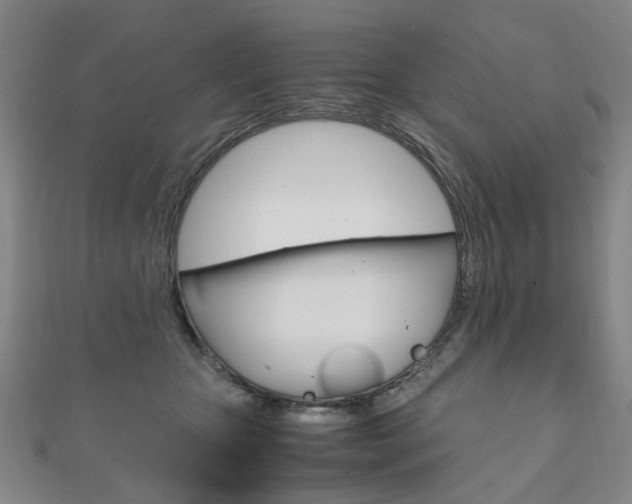X0000111210467200907011055