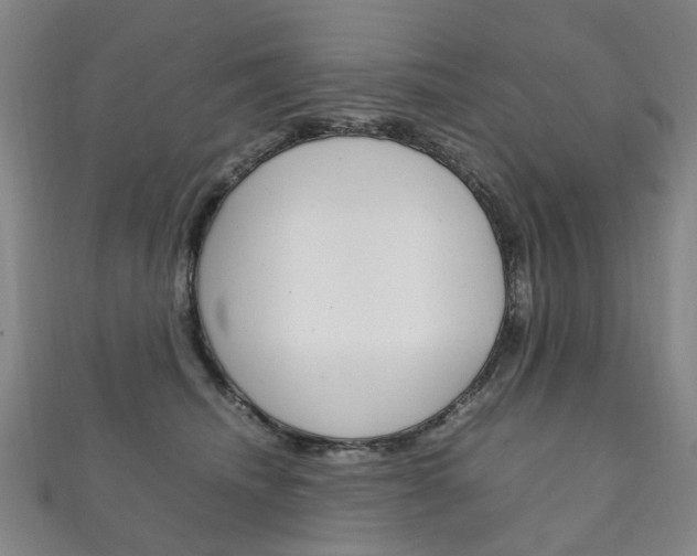 X0000111210468200907011055