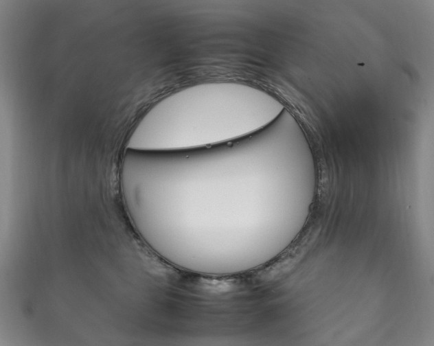 X0000111210469200907011055