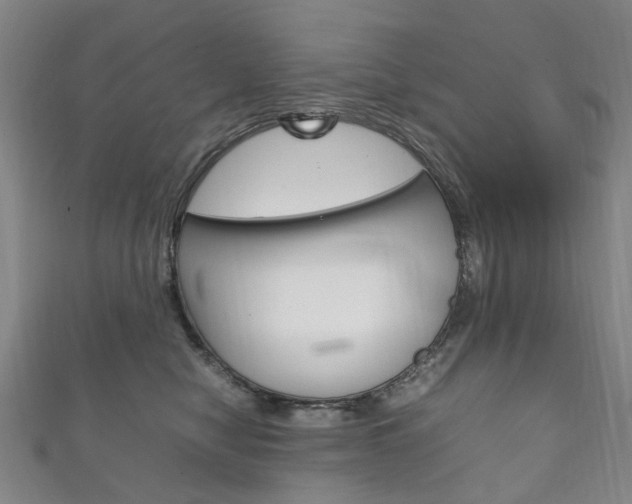 X0000111210470200907011055