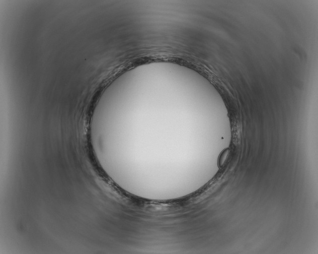 X0000111210472200907011055