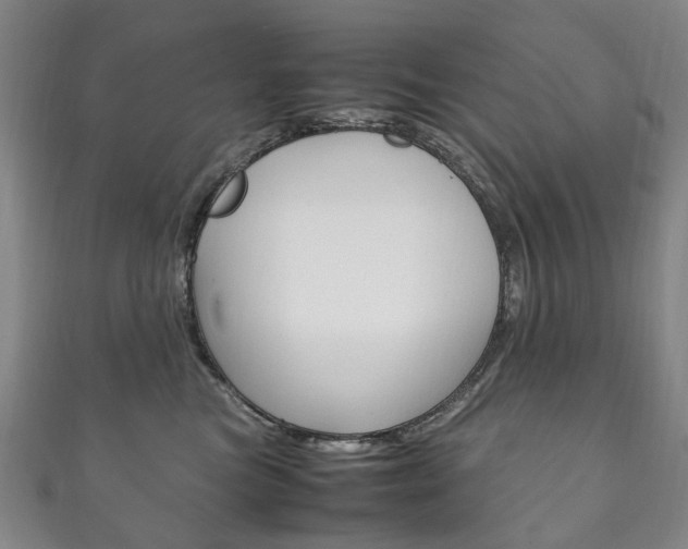 X0000111210473200907011055