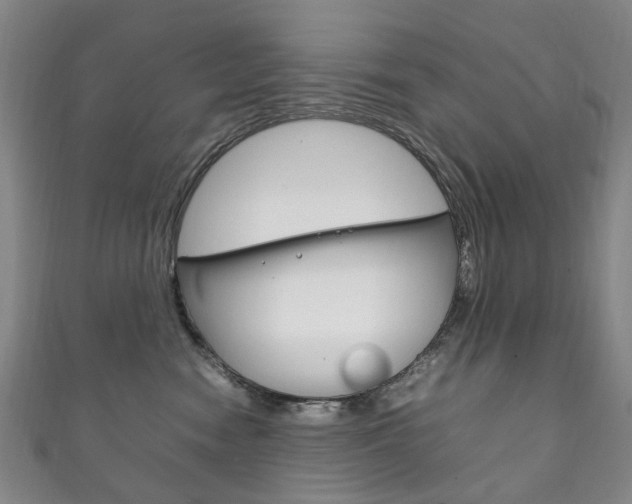 X0000111210474200907011055