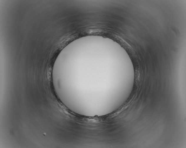 X0000111210475200907011055