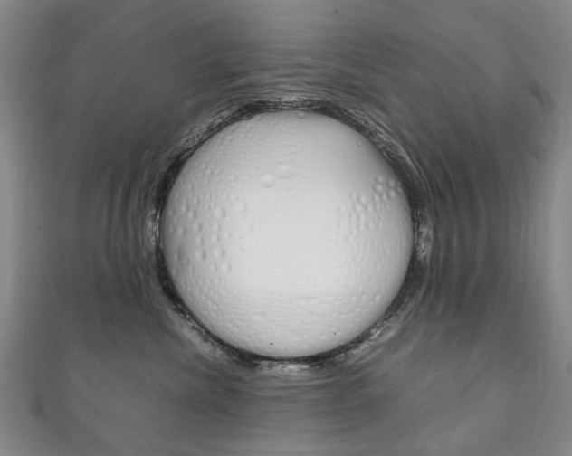X0000111210476200907011055
