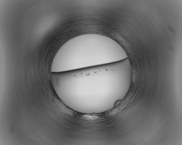 X0000111210477200907011055