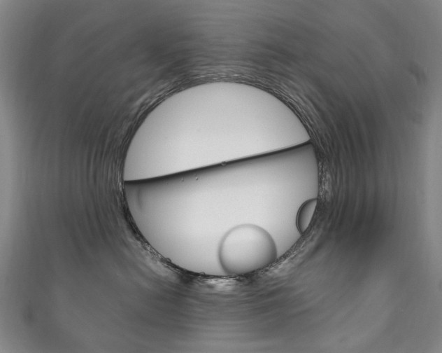 X0000111210478200907011055