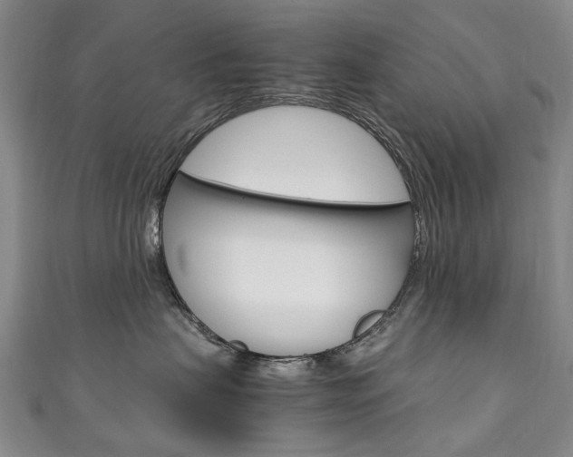 X0000111210479200907011055