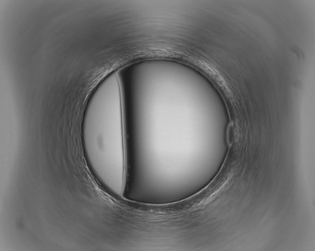 X0000111210481200907011054